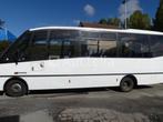 30+1 persoons stadsbus Iveco 65C (2005-262.214 km)(Wijn: ZCF, Iveco, Overige brandstoffen, Bedrijf, Te koop