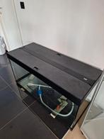 Juwel 350l Aquarium/Terrarium, Dieren en Toebehoren, Ophalen