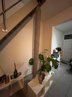 Klimzak kat, Ophalen, Nieuw