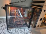 Gecko à crête "Flamme Light" avec terrarium, Ophalen, Zo goed als nieuw