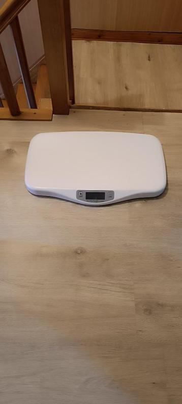 Pese bébé  beschikbaar voor biedingen