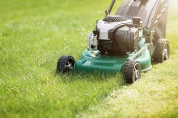 entretien jardin .. 0456.370.305 ou 0470.576.247. ..  beschikbaar voor biedingen