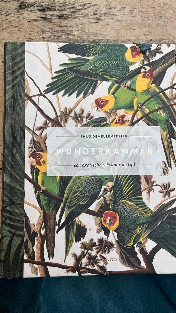 Thijs Demeulemeester - Wunderkammer, Boeken, Overige Boeken, Zo goed als nieuw, Ophalen of Verzenden