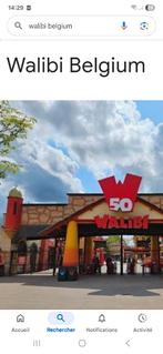 4 entrées Walibi Belgique, Tickets & Billets, Trois personnes ou plus, Ticket ou Carte d'accès