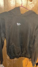 Trui man, Overige kleuren, SuperDry, Nieuw, Ophalen of Verzenden