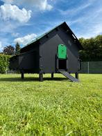 Pluverdi kippenhok Brussels (12-24 kippen): OP VOORRAAD, Dieren en Toebehoren, Ophalen of Verzenden, Nieuw