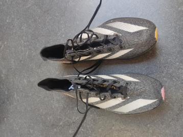 Sprint Spikes Adidas Adizero prime SP3 strung  beschikbaar voor biedingen