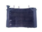 RADIATEUR MV Agusta Brutale (01-1970/-), Motoren, Gebruikt