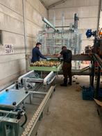 Witloof intafellijn + stortbunker, Articles professionnels, Agriculture | Outils, Enlèvement, Horticulture, culture maraîchère en serre