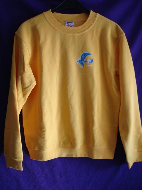 Sweater geel met lange mouwen en ronde hals maat M., Kleding | Heren, Truien en Vesten, Gedragen, Maat 48/50 (M), Geel, Ophalen of Verzenden