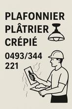 Platrier pro interieur en exterieur, Ophalen of Verzenden