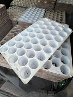 Stekplaat plantplaat zaaiplaat 38 gaten, Tuin, Kunststof, Gebruikt, Minder dan 30 cm