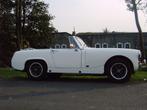 MG Midget, Auto's, Zwart, Overige kleuren, Cabriolet, Handgeschakeld