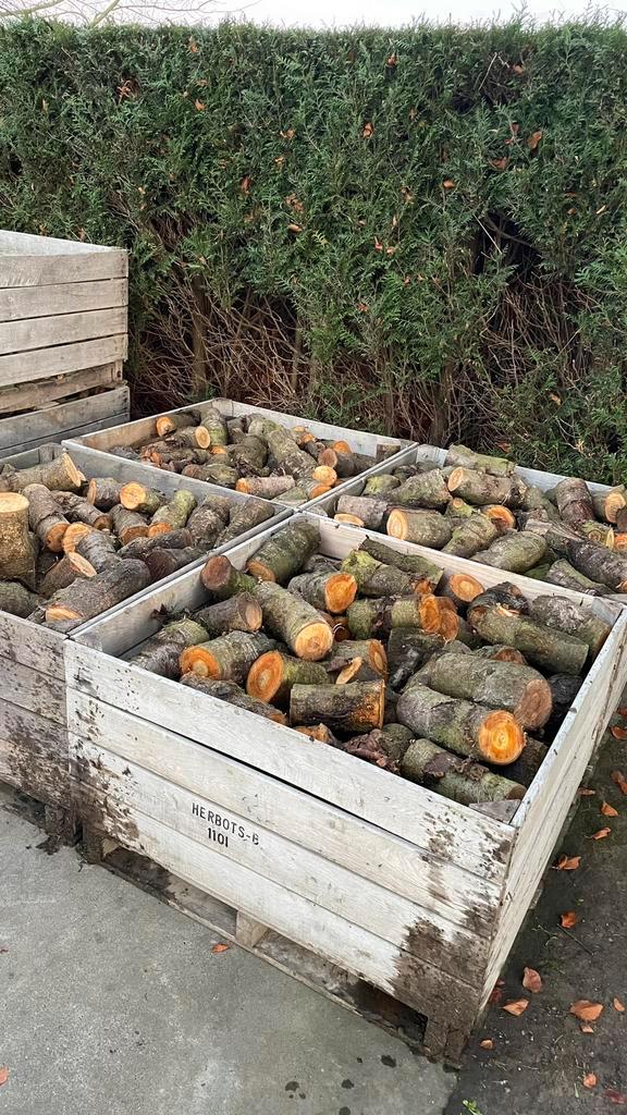 Fruithout kersenbomen   Info beschrijving, Tuin en Terras, Brandhout, Ophalen