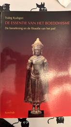 Traleg Kyabgon - De essentie van het boeddhisme, Livres, Religion & Théologie, Bouddhisme, Comme neuf, Enlèvement, Traleg Kyabgon