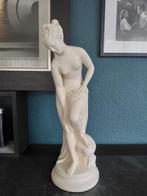 Venus badbeeld, Ophalen of Verzenden, Mens