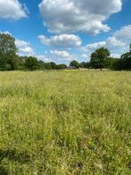 Paddock Paradise, Dieren en Toebehoren
