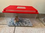Kunststof aquarium  (vis)bak met deksel, Dieren en Toebehoren, Ophalen, Gebruikt