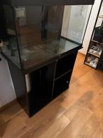 Aquarium juwel rio 125 met kast, Dieren en Toebehoren, Ophalen, Gebruikt
