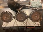 3 x Venezina design spotlampen - NIEUW in doos (excl 🐱😉), Ophalen, Nieuw