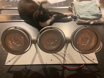3 x Venezina design spotlampen - NIEUW in doos (excl 🐱😉) beschikbaar voor biedingen