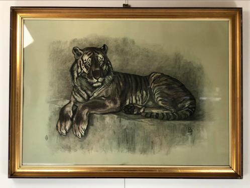 Lithografie B. Sluyterman liggende tijger, Antiek en Kunst, Kunst | Litho's en Zeefdrukken, Ophalen of Verzenden
