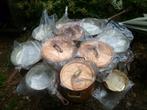 koperen kookpotten, Ophalen, Nieuw