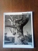 Revue photo ancienne Hasselblad 1971, Enlèvement ou Envoi