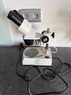 microscoop Novex AP -7, Audio, Tv en Foto, Optische apparatuur | Microscopen, Ophalen, Nieuw, Minder dan 400x, Biologische microscoop