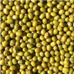 Katjang Idjoe (haricots mungo verts) 5 kg, Enlèvement