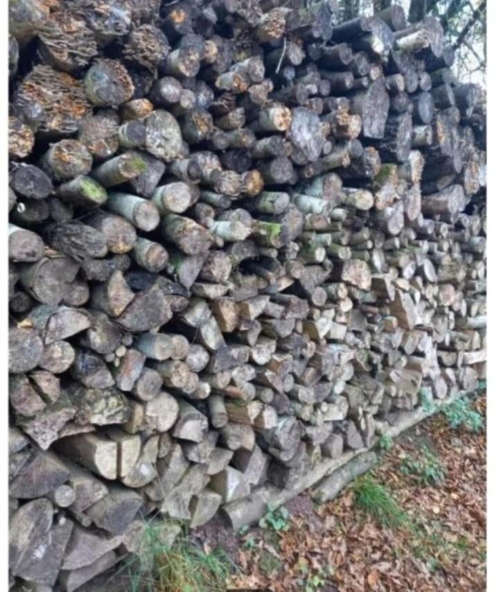 Bois de chauffage sec, Tuin en Terras, 3 tot 6 m³, Ophalen, Eikenhout, Blokken