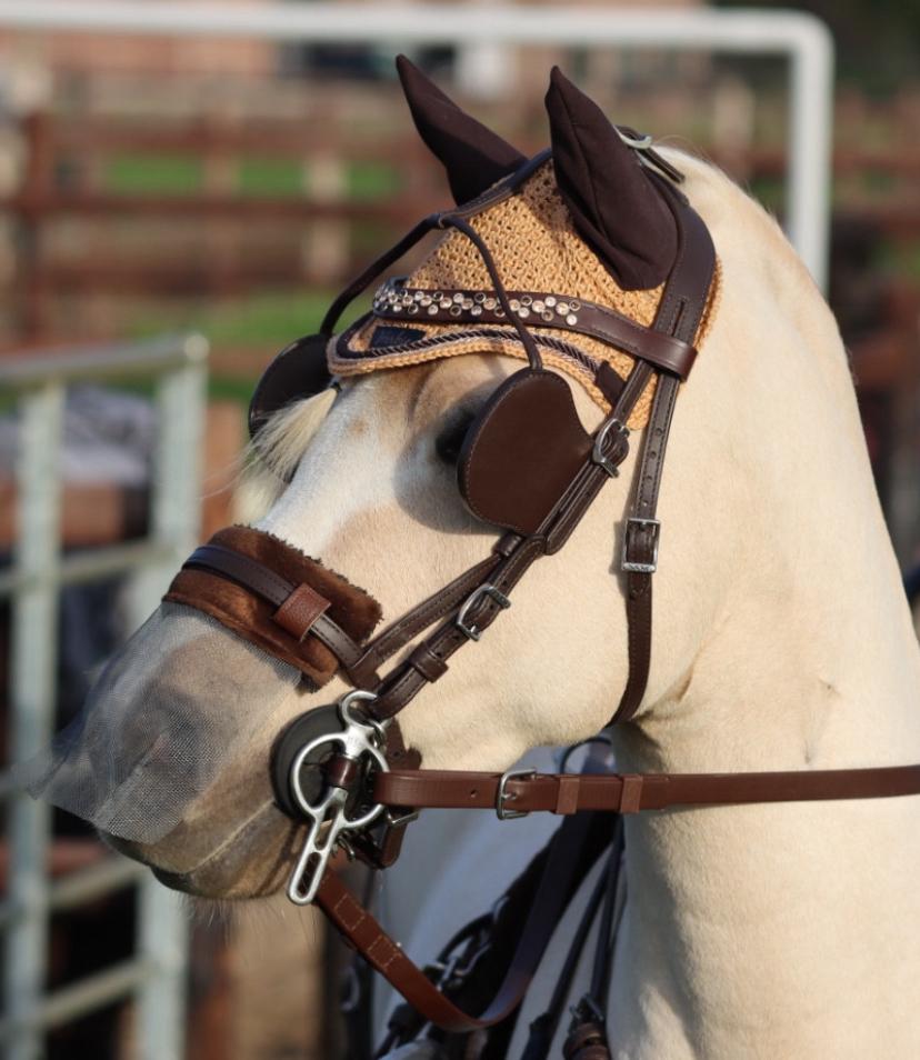 Halve stal gezocht.., Dieren en Toebehoren, Paarden en Pony's | Verzorgingsproducten, Gebruikt, Ophalen of Verzenden