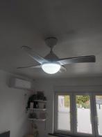 Ventilateur plafonnier, Enlèvement