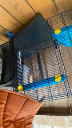 Kooi, Dieren en Toebehoren, Ophalen, Zo goed als nieuw, Kooi