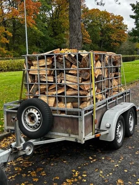 Brandhout Beuk/Eik, 6 m³ ou plus, Envoi, Hêtre, Bûches