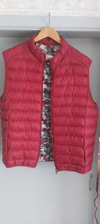 Body warmer St Hilaire, Vêtements | Hommes, Blousons sans Manches, Enlèvement