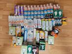 Ampoules, Enlèvement ou Envoi, Neuf, 30 à 60 watts, Ampoule