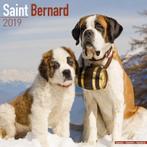 Calendrier Saint-Bernard 2019, Enlèvement ou Envoi, Calendrier annuel, Neuf