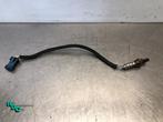 Sonde lambda d'un Peugeot 308 (308 08-), -, 3 mois de garantie, Utilisé, -