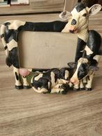 Koe kader foto vintage, Enlèvement