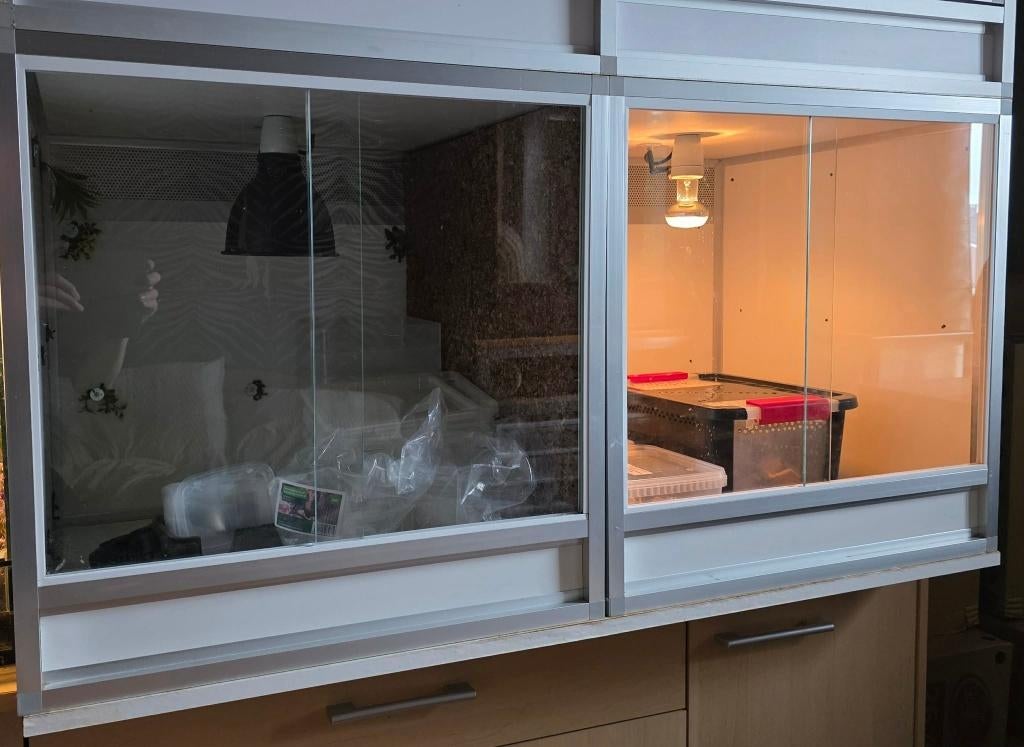 x2 Terrarium 60x60x60, Animaux & Accessoires, Reptiles & Amphibiens | Accessoires, Utilisé, Terrarium ou Paludarium, Enlèvement ou Envoi