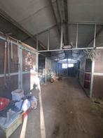 Stallen + inloop stal met paddock te huur., Pâturage, 4 chevaux ou poneys ou plus