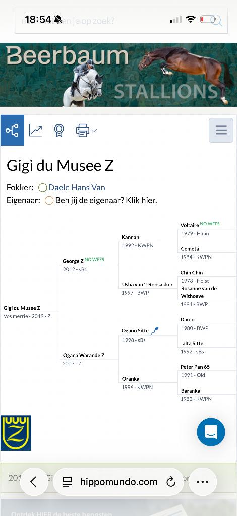 Springpaard, Dieren en Toebehoren, Merrie, Springpaard, 7 tot 10 jaar, 165 tot 170 cm