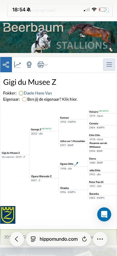 Springpaard, Dieren en Toebehoren, Paarden, Merrie, Z, 165 tot 170 cm, 7 tot 10 jaar, Springpaard, Met stamboom, Gechipt, Ontwormd