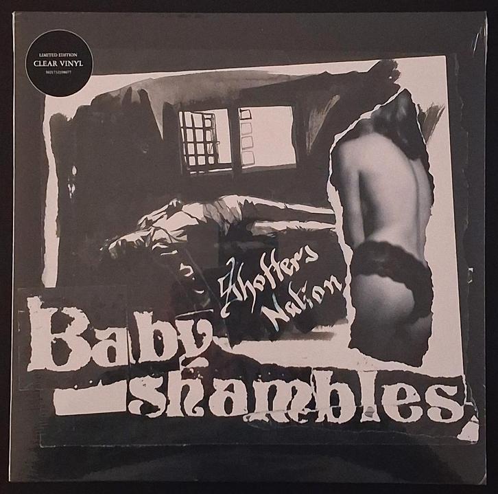 LP Babyshambles - Shotter's Nation (Limited Clear Vinyl) New, CD & DVD, Vinyles | Rock, Neuf, dans son emballage, Alternatif, 12 pouces