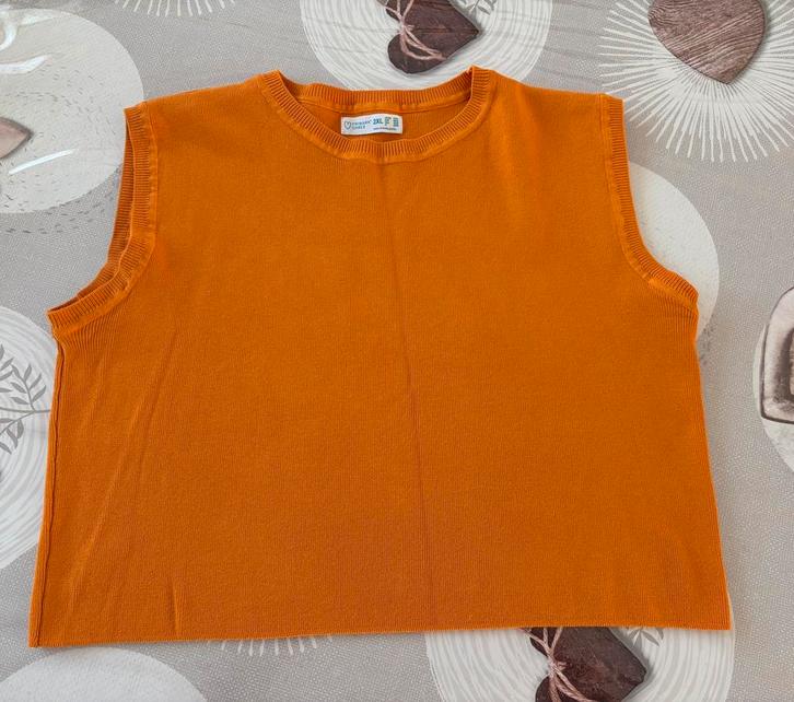Orange  tanktop met mandarijn - Primark Cares, maat:, Kleding | Dames, Grote Maten, Zo goed als nieuw, Oranje, Ophalen of Verzenden
