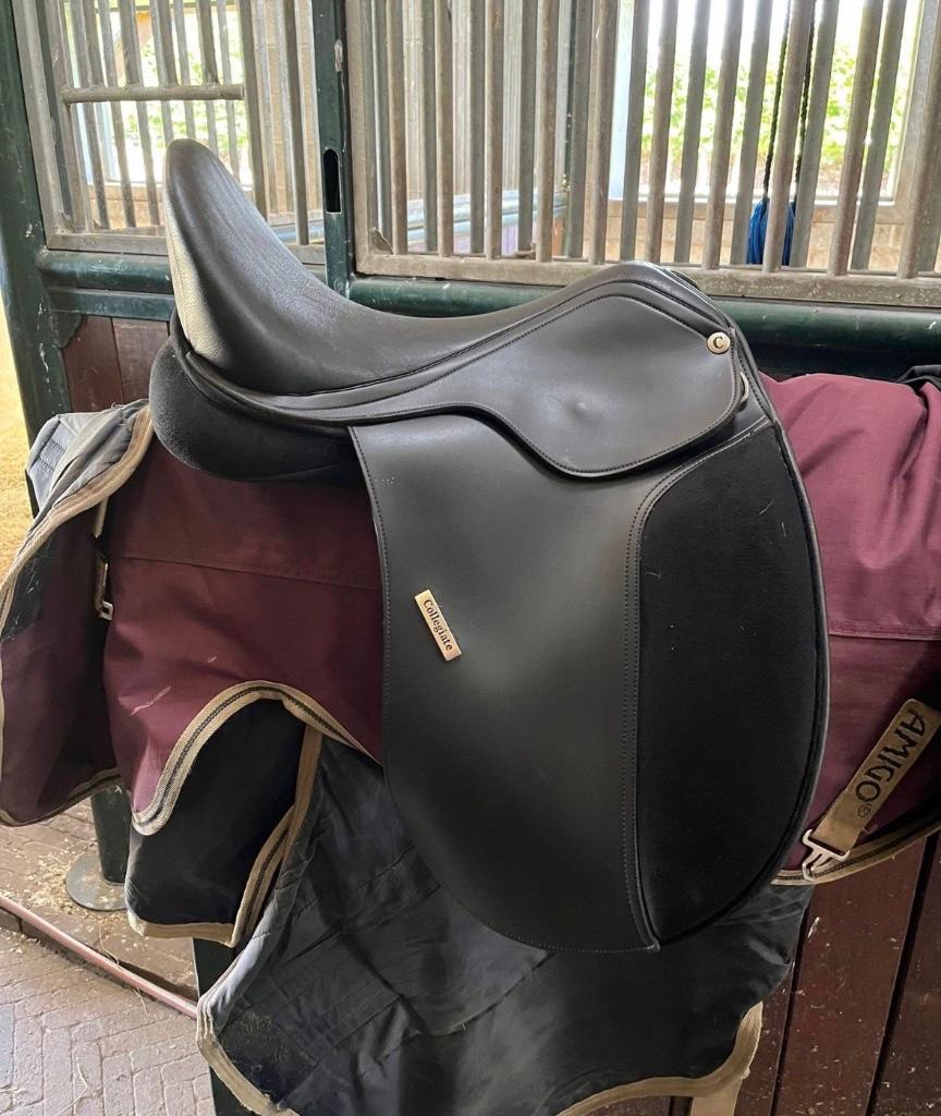 Nieuw Collegiate dressuur zadel 16,5 inch, Animaux & Accessoires, Chevaux & Poneys | Selles, Neuf, Dressage, Enlèvement