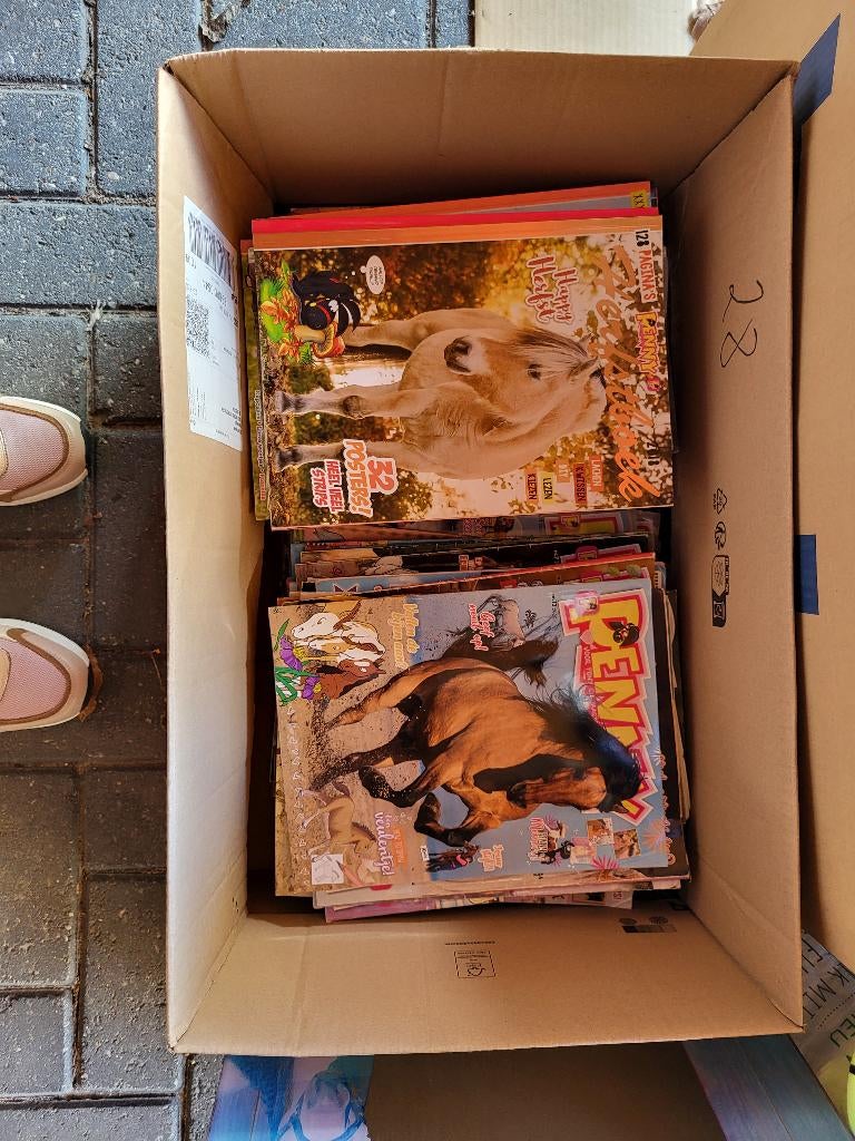 Penny's, Boeken, Penny, Meerdere stripboeken, Ophalen, Gelezen