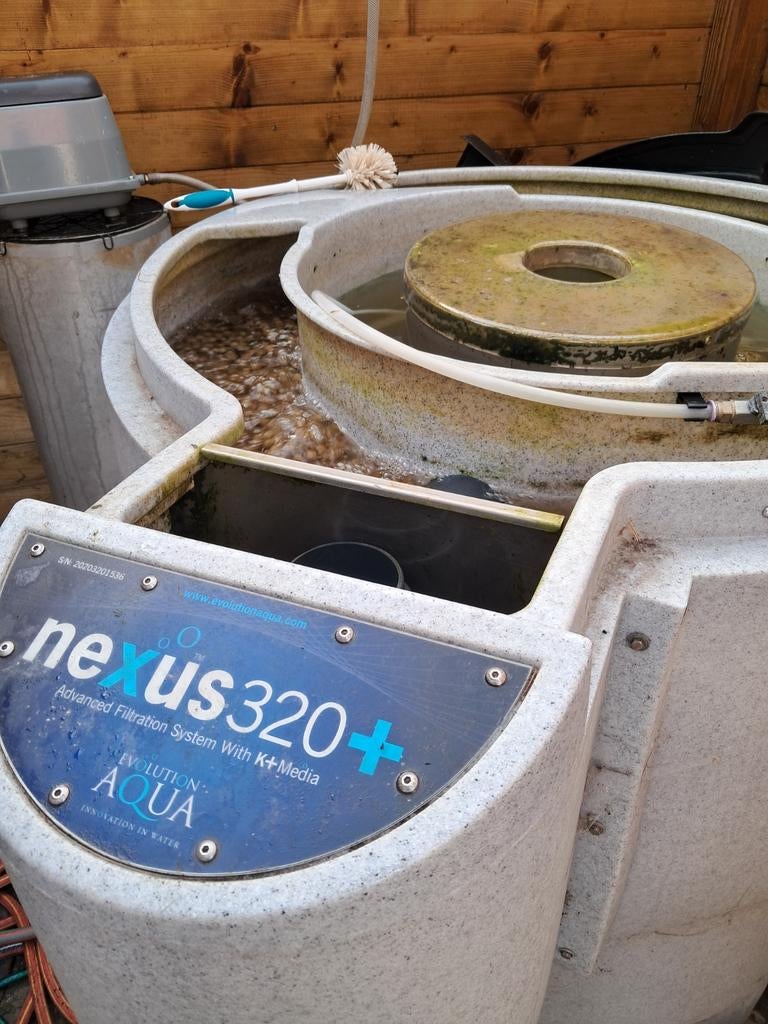 Nexus 320 plus vijverfilter aquaforte, koivijver, Ophalen, Vijverfilter