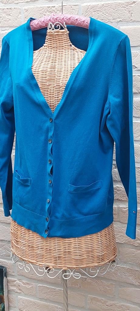 Vestje maat l tommy hilfiger, Vêtements | Femmes, Blouses & Tuniques, Taille 42/44 (L), Tommy hilfiger, Enlèvement ou Envoi, Comme neuf
